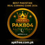 PAK804 Game