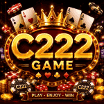 C222 Game
